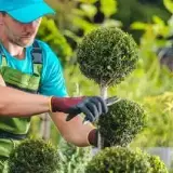 Service Jardinier